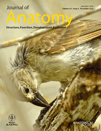 Genbrugge, A., D. Adriaens, B. De Kegel, M. Boone, L. Van Hoorebeke, J. Podos, J. Dirckx, P. Aerts and A. Herrel (2012) Built to crack? Structural tissue organization in the beak of a granivorous bird. J. Anat. 221: 383-393.